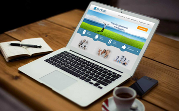 Expense Management System EXPEGO is...